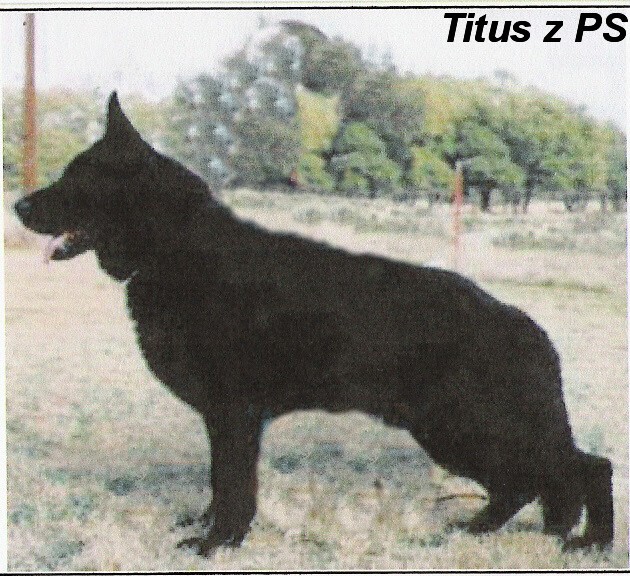 Titus PS 5JY5